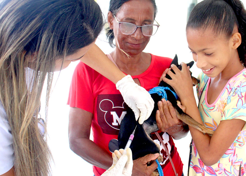 Vacina Antirrábica: Prefeitura de Juazeiro promove Dia D e protege animais contra a raiva